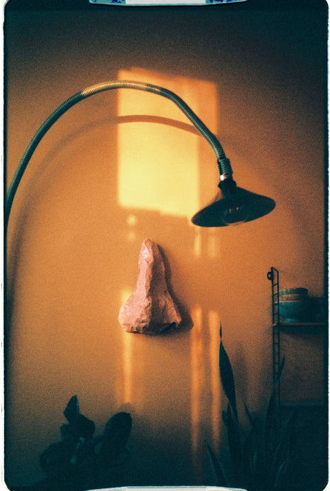 Harman Phoenix 200 C41 Pellicule 35mm