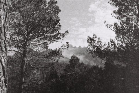 Ilford Delta 3200 N&B Pellicule 35mm