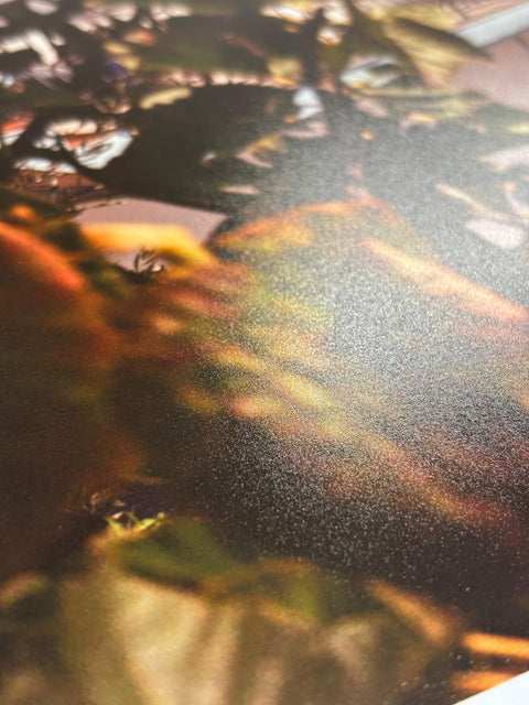Large Format Prints