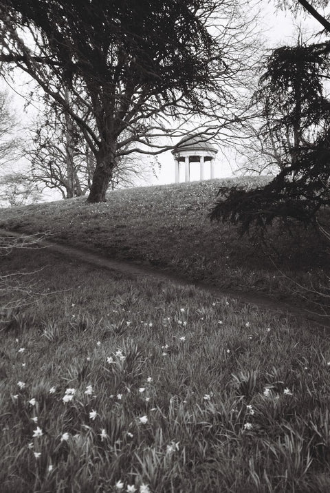 KENTMERE 100 135 da 36 Pose Confezione 10 pellicole KENTMERE 100 135 da 36 Pose Confezione 10 pellicole